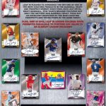 2018 Leaf Metal Draft