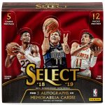 2018-19 Panini Select Basketball