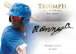 Triumph Auto Ronny Mauricio MOCK UP