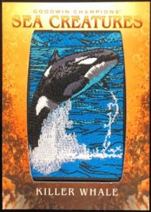 Sea Creatures Manufactured Patches Killer Whale