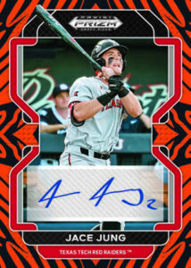 Base Prizms Auto Tiger Stripe Jace Jung MOCK UP