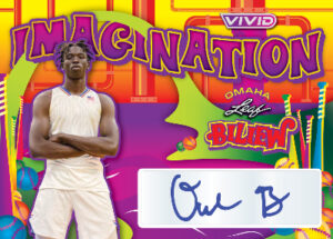 Vivid Imagination Auto Omaha Biliew MOCK UP