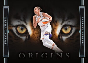 Tiger Eyes Diana Taurasi MOCK UP