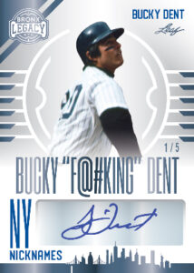 NY Nicknames Auto Bucky F@#king Dent MOCK UP