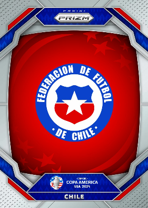 Team Badges Silver Chile MOCK UP