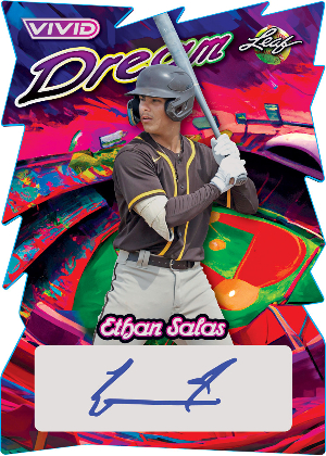 Vivid Dreams Auto Ethan Salas MOCK UP