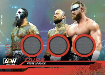 Base Tag Teams and Trios Relics House of Black MOCK UP