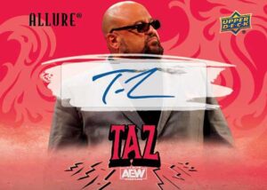 Base Red Auto Taz MOCK UP