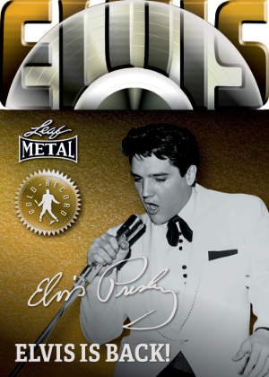 Gold Record Elvis is Back MOCK UP