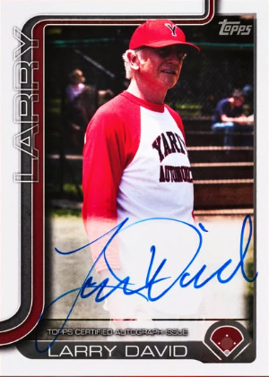 Larry David Auto