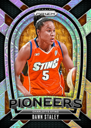 Pioneers Dawn Staley MOCK UP